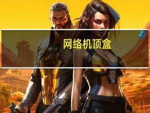网络机顶盒（网络处理器）