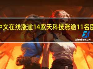 网络游戏概念走强中文在线涨逾14%紫天科技涨逾11%名臣健康涨停盛天网络涨逾9%