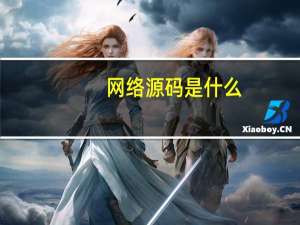 网络源码是什么