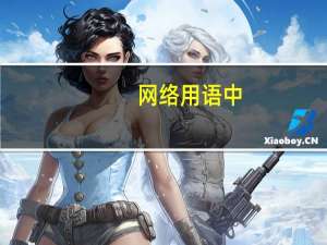 网络用语中，HY是什么意思