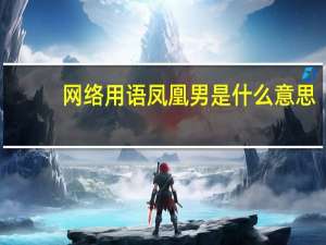 网络用语凤凰男是什么意思（凤凰男是什么意思）