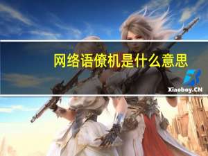 网络语僚机是什么意思