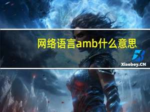 网络语言amb什么意思