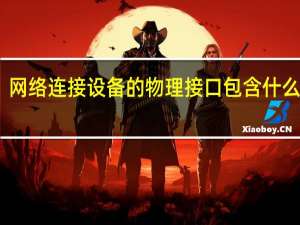 网络连接设备的物理接口包含什么特性（网络连接设备有什么）