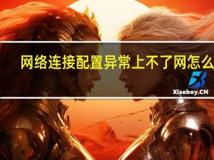 网络连接配置异常上不了网怎么办（网络连接）