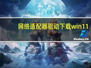 网络适配器驱动下载win11（网络适配器驱动）