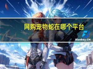 网购宠物蛇在哪个平台