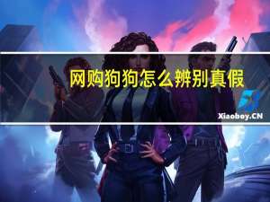 网购狗狗怎么辨别真假