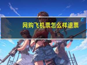 网购飞机票怎么样退票