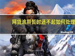 网贷逾期暂时还不起如何处理