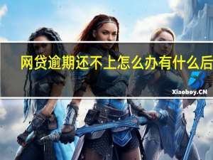 网贷逾期还不上怎么办有什么后果