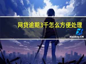 网贷逾期3千怎么方便处理