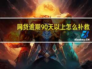 网贷逾期90天以上怎么补救