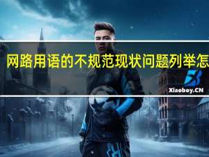 网路用语的不规范现状问题列举怎么写