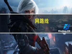 网路线