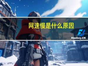 网速慢是什么原因