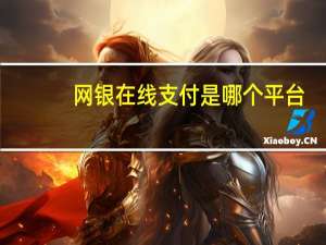 网银在线支付是哪个平台（网银在线支付是哪个平台）