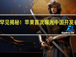 罕见揭秘！苹果首次曝光中国开发者收入，数字背后的故事与展望