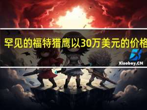 罕见的福特猎鹰以30万美元的价格售出