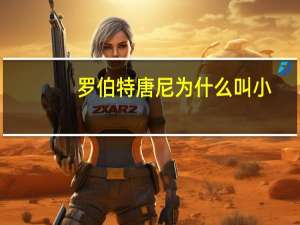 罗伯特唐尼为什么叫小