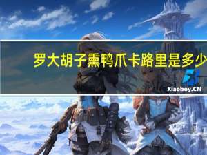 罗大胡子 熏鸭爪卡路里是多少