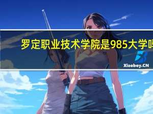 罗定职业技术学院是985大学吗