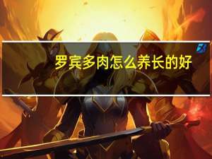 罗宾多肉怎么养长的好