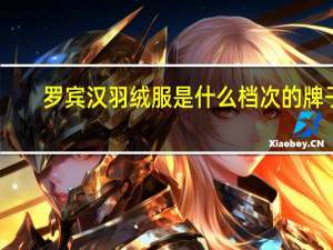 罗宾汉羽绒服是什么档次的牌子