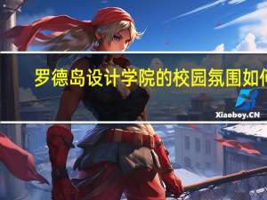 罗德岛设计学院的校园氛围如何