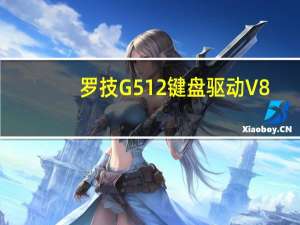 罗技G512键盘驱动 V8.98.306 Mac版（罗技G512键盘驱动 V8.98.306 Mac版功能简介）
