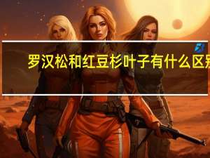 罗汉松和红豆杉叶子有什么区别