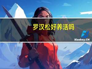 罗汉松好养活吗