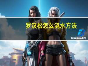 罗汉松怎么浇水方法