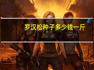 罗汉松种子多少钱一斤