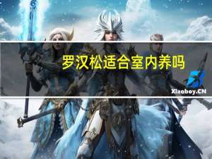 罗汉松适合室内养吗