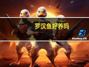 罗汉鱼好养吗