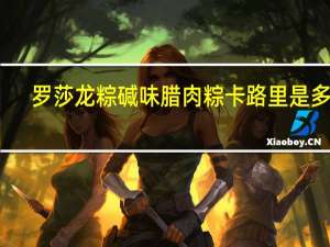 罗莎 龙粽 碱味腊肉粽卡路里是多少