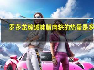 罗莎 龙粽 碱味腊肉粽的热量是多少