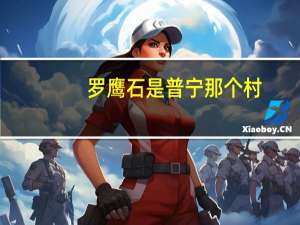 罗鹰石是普宁那个村（罗鹰石）