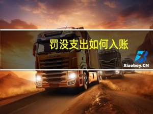 罚没支出如何入账