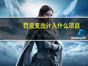 罚没支出计入什么项目