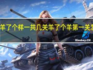 羊了个样一共几关 羊了个羊第一关怎么过