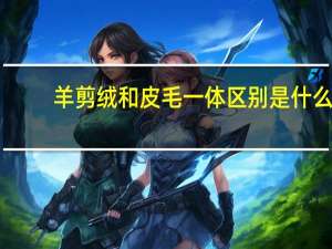 羊剪绒和皮毛一体区别是什么