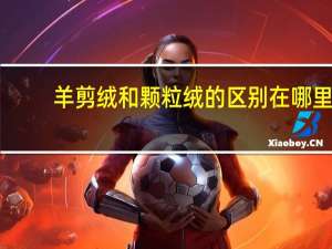 羊剪绒和颗粒绒的区别在哪里