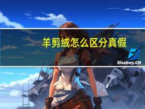 羊剪绒怎么区分真假