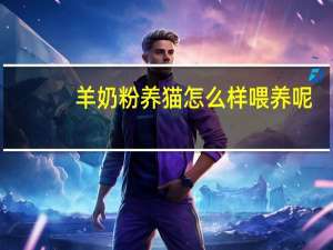 羊奶粉养猫怎么样喂养呢