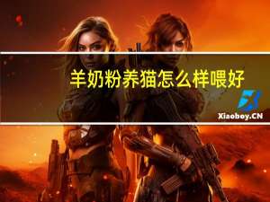 羊奶粉养猫怎么样喂好