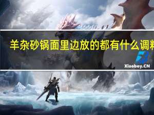 羊杂砂锅面里边放的都有什么调料啊