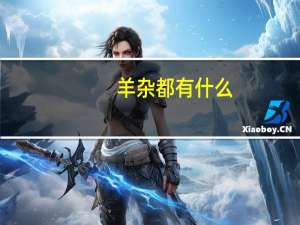 羊杂都有什么