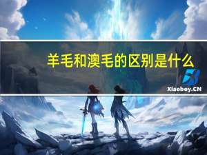羊毛和澳毛的区别是什么